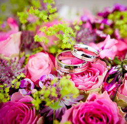 快速补单的在线网页使用电话轰炸机